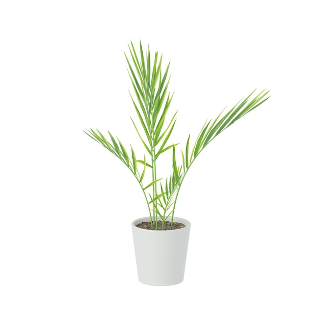 Icône 3D réaliste de grande plante d'intérieur pour l'espace de travail