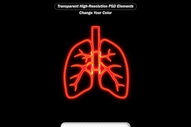 PSD Ícone de rim de néon em estilo de linha para humanos símbolo de linha renal