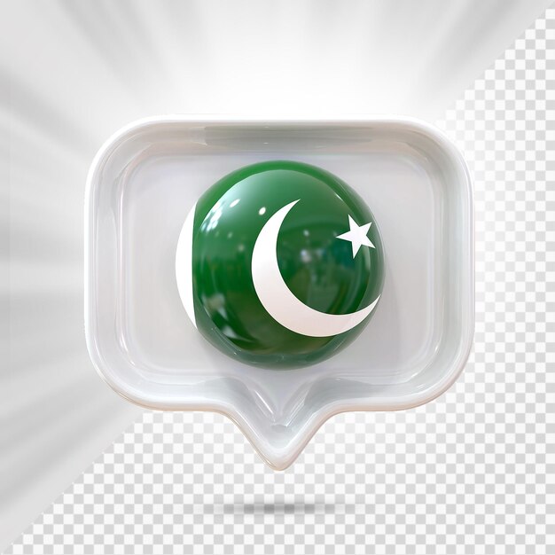 Icône Du Drapeau Pakistanais