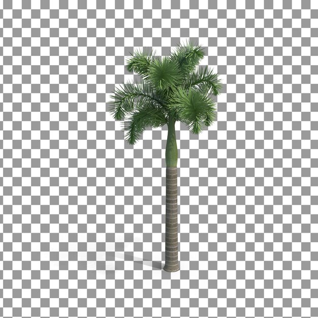 Icono de árbol de fechas PSD 3D sobre fondo aislado y transparente