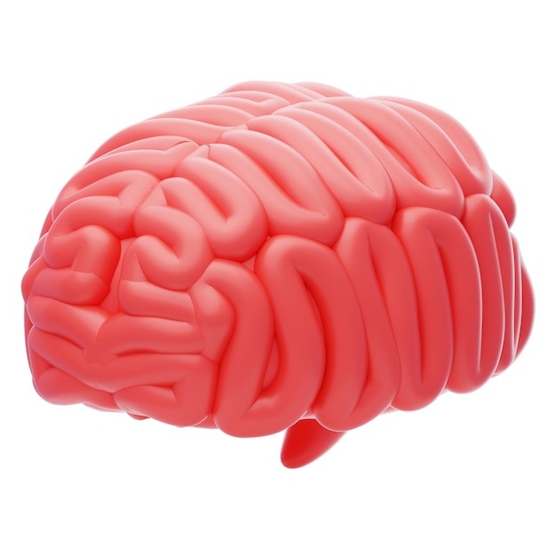 PSD el icono del cerebro humano en 3d