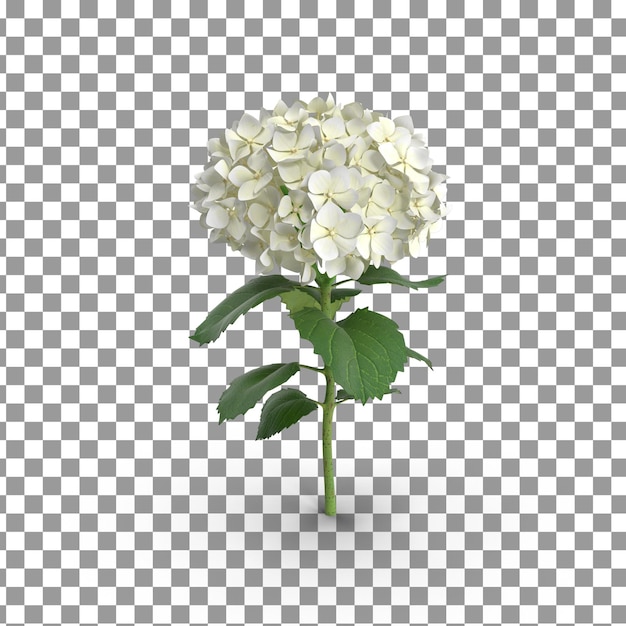 Icono de flor PSD 3D sobre fondo aislado y transparente