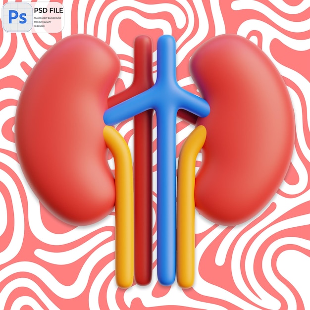 Icono de representación 3D de riñón aislado Ilustración PNG plantilla PSD