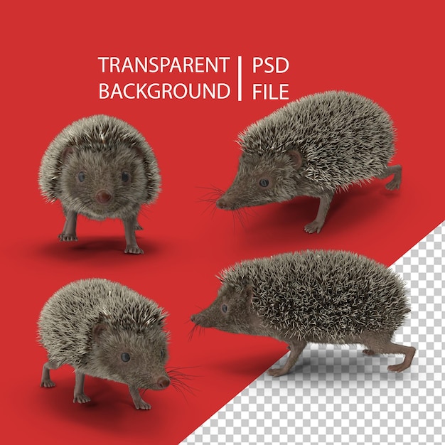 Igel png