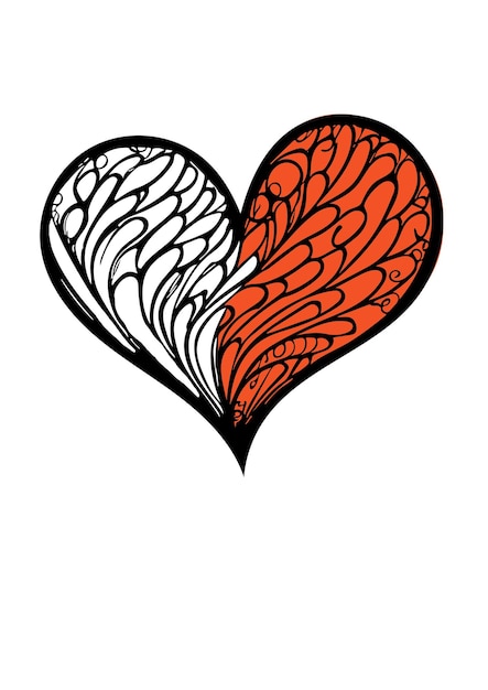 Il cuore.