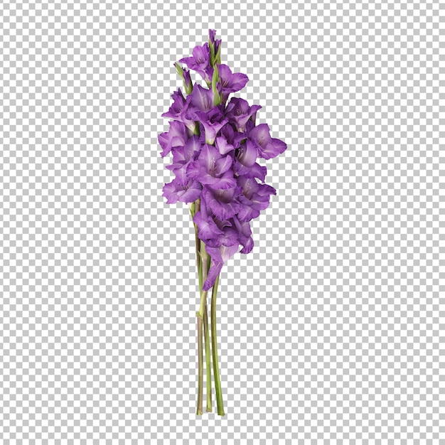 Il fiore viola del gladiolo deriva il rendering isolato