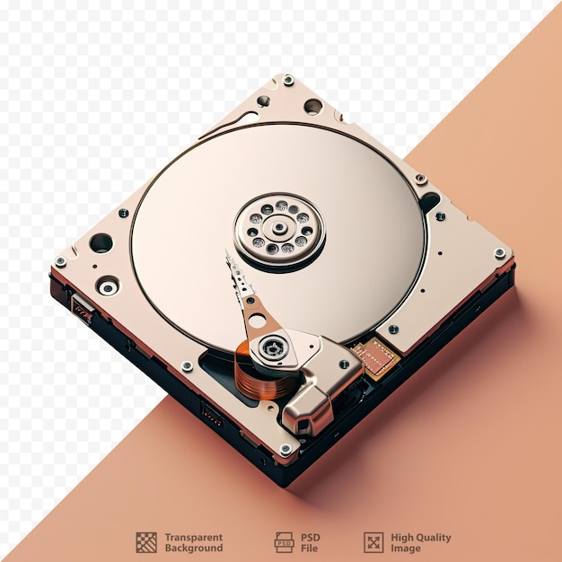 il mouse di un computer viene mostrato con l'immagine di un mouse di computer.