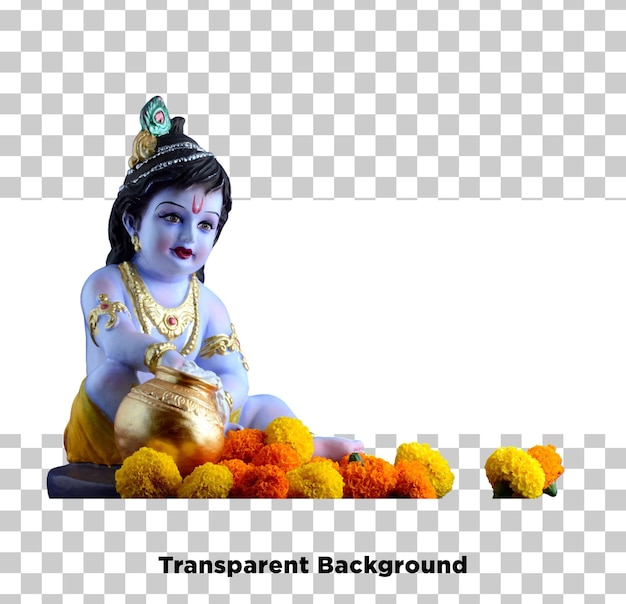 il piccolo Krishna