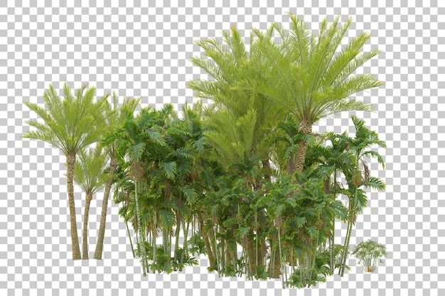 Île de feuillage isolée sur fond blanc illustration du rendu 3d