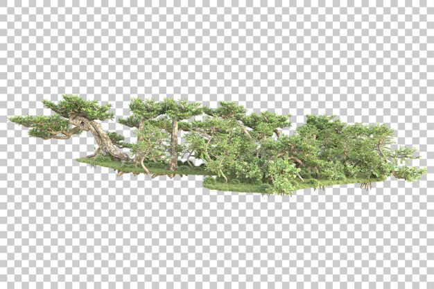 L'île de feuillage isolée sur un fond transparent illustration de rendu 3D