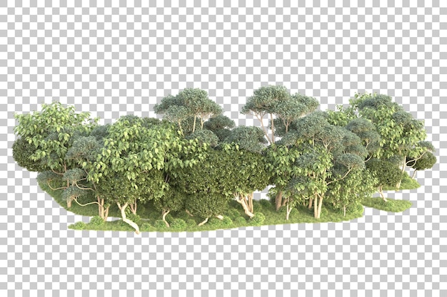 L'île de feuillage isolée sur un fond transparent illustration de rendu 3D
