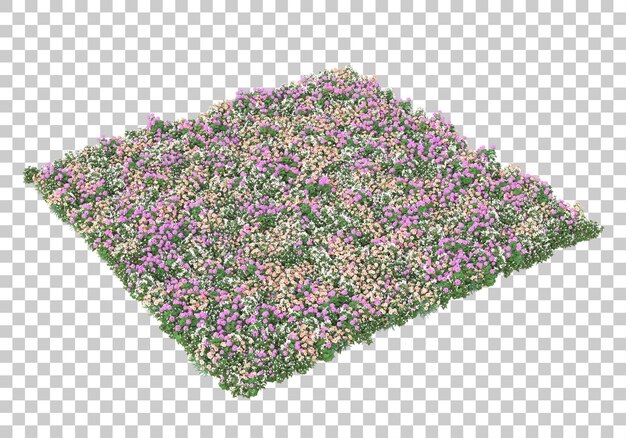 Île De Fleurs Sur Fond Transparent Illustration De Rendu 3d