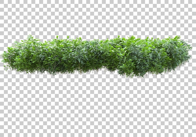 Île d'herbe avec des fleurs sur fond transparent illustration de rendu 3d