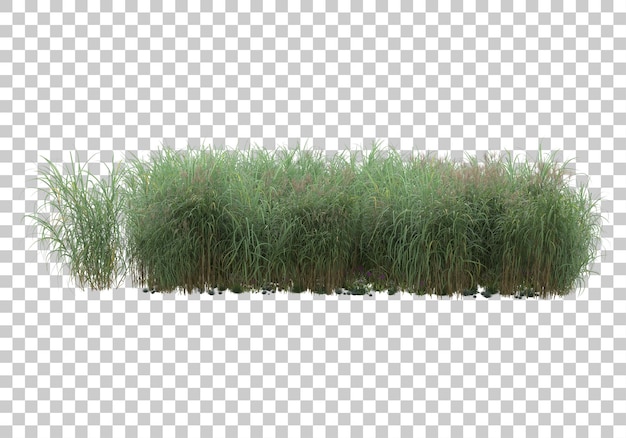 Île d'herbe sur fond transparent illustration de rendu 3d