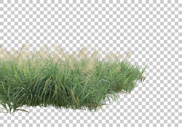 Île d'herbe sur fond transparent illustration de rendu 3d
