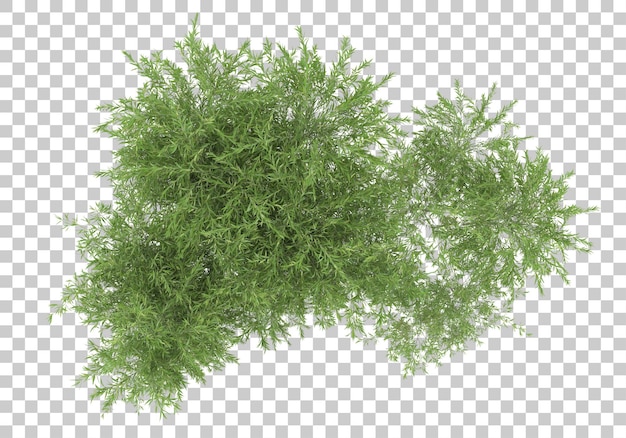 Île d'herbe sur fond transparent illustration de rendu 3d