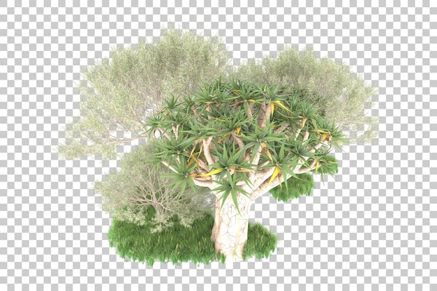 Île Tropicale Isolée Sur Fond Transparent Illustration De Rendu 3d