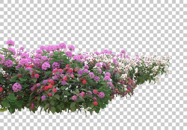 Ilha de flores na ilustração de renderização 3d de fundo transparente