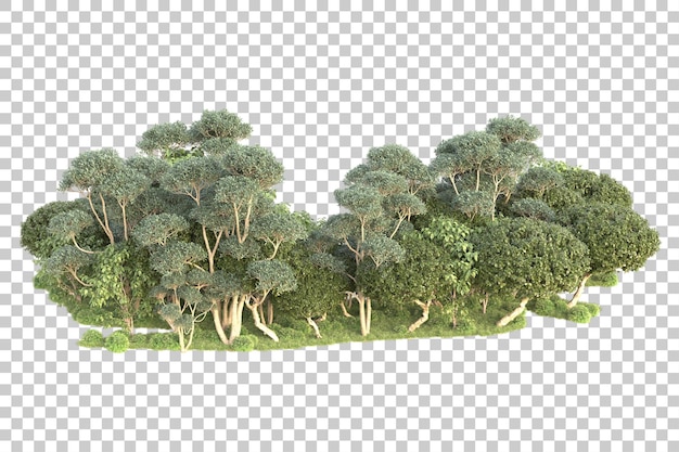 PSD ilha de folhagem isolada em fundo transparente ilustração de renderização 3d