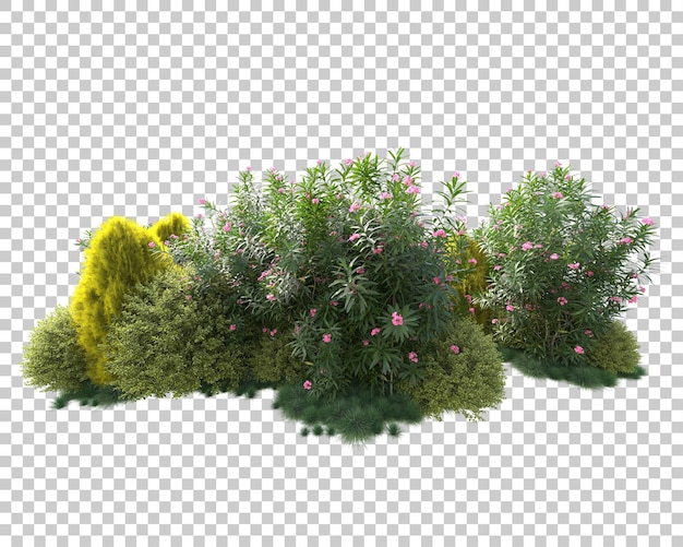 Ilha de folhagem isolada em fundo transparente ilustração de renderização 3d