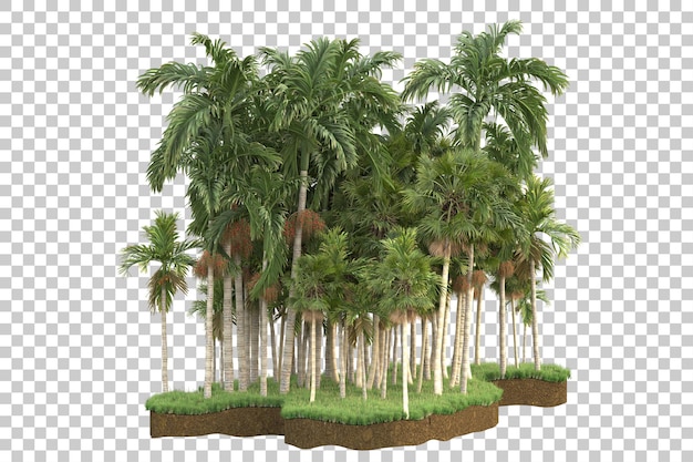 Ilha tropical isolada em fundo transparente ilustração de renderização 3d