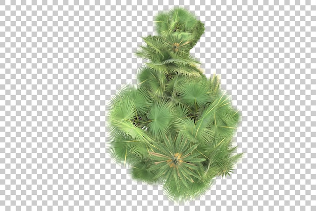PSD ilha tropical isolada em fundo transparente ilustração de renderização 3d