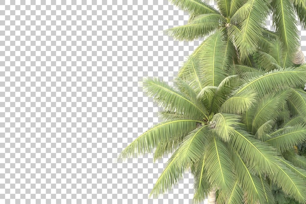 Ilha tropical isolada em fundo transparente ilustração de renderização 3D