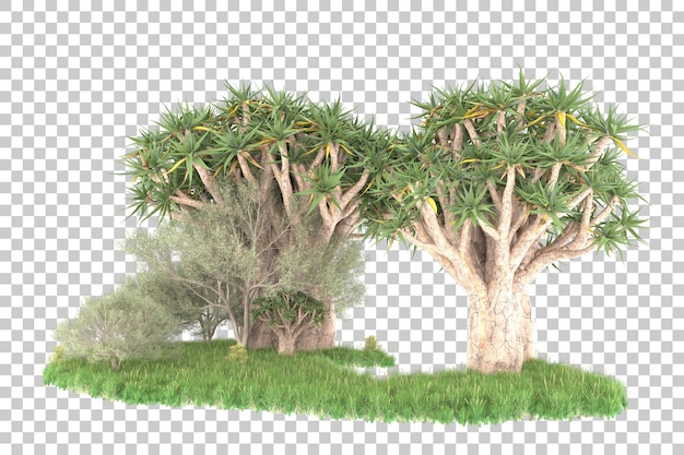 Ilha tropical isolada na ilustração de renderização 3d de fundo transparente