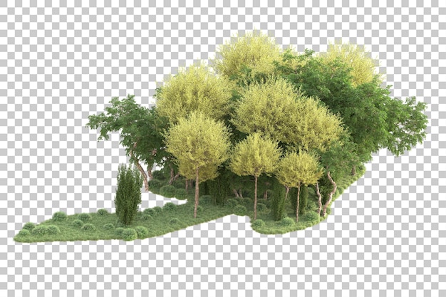 Illa de follaje aislada en un fondo transparente Ilustración de renderización en 3D