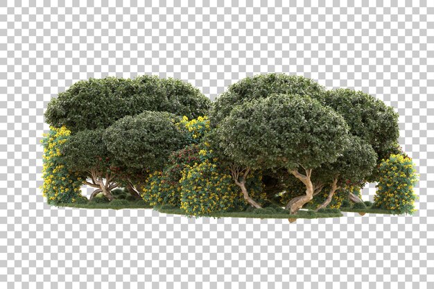 Illa de follaje aislada en un fondo transparente Ilustración de renderización en 3D