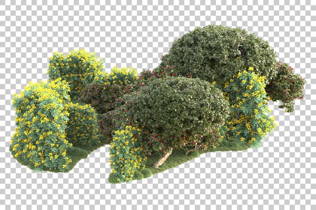 Illa de follaje aislada en un fondo transparente Ilustración de renderización en 3D