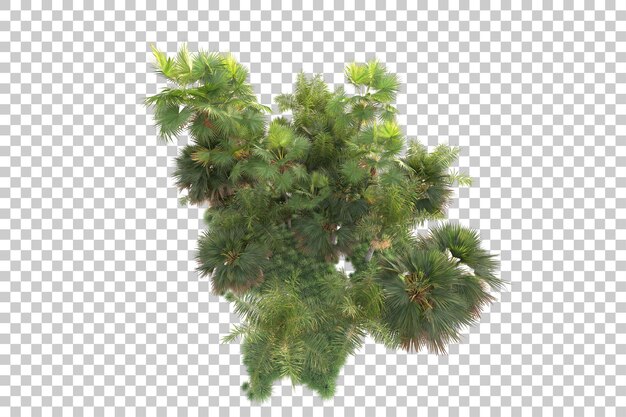 Illa de follaje aislada en un fondo transparente Ilustración de renderización en 3D