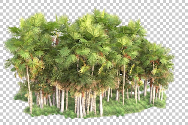 Illa de follaje aislada en un fondo transparente Ilustración de renderización en 3D