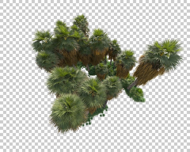 Illa de follaje aislada en un fondo transparente Ilustración de renderización en 3D