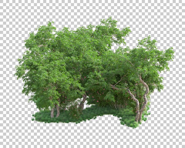 Illa de follaje aislada en un fondo transparente Ilustración de renderización en 3D