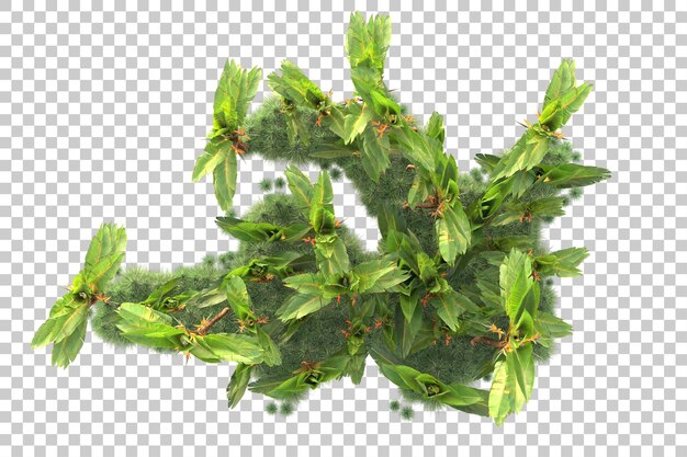 Illa de follaje aislada en un fondo transparente Ilustración de renderización en 3D