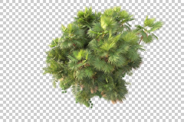 Illa de follaje aislada en un fondo transparente Ilustración de renderización en 3D