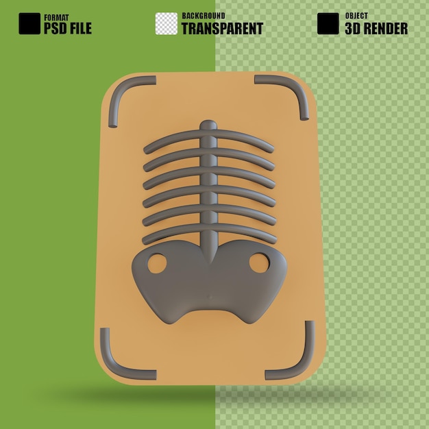 PSD illustration 3d x ray adaptée à la médecine 3