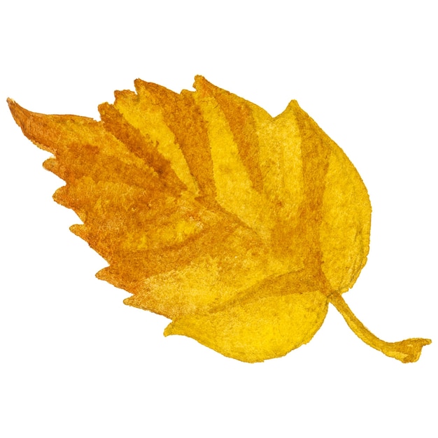PSD illustration aquarelle abstraite des feuilles d'automne éléments de conception nature dessinés à la main isolés sur fond blanc