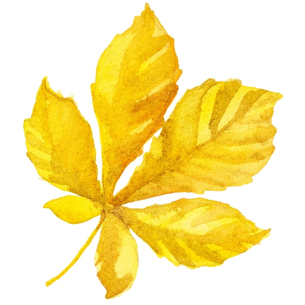 Illustration Aquarelle Abstraite Des Feuilles D'automne éléments De Conception Nature Dessinés à La Main Isolés Sur Fond Blanc