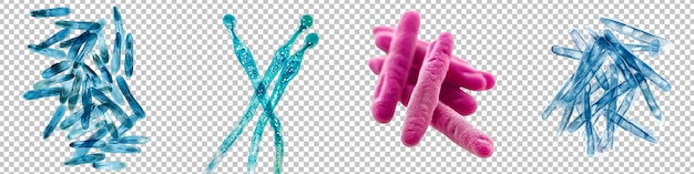 PSD illustration de bactéries chromatiques isolées sur un fond transparent