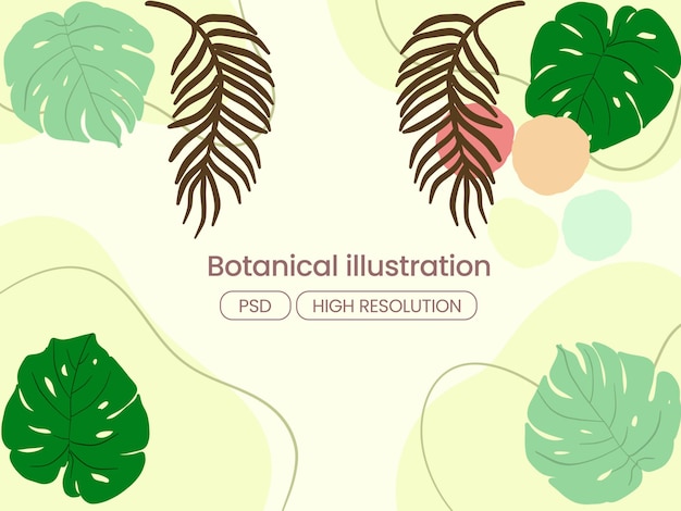 PSD illustration botanique d'un fond propre avec des feuilles blanches