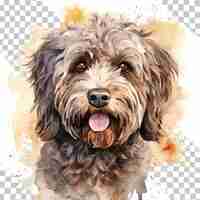 PSD illustration d'un chien puli aux cheveux bouclés avec une expression mignonne sur un fond transparent
