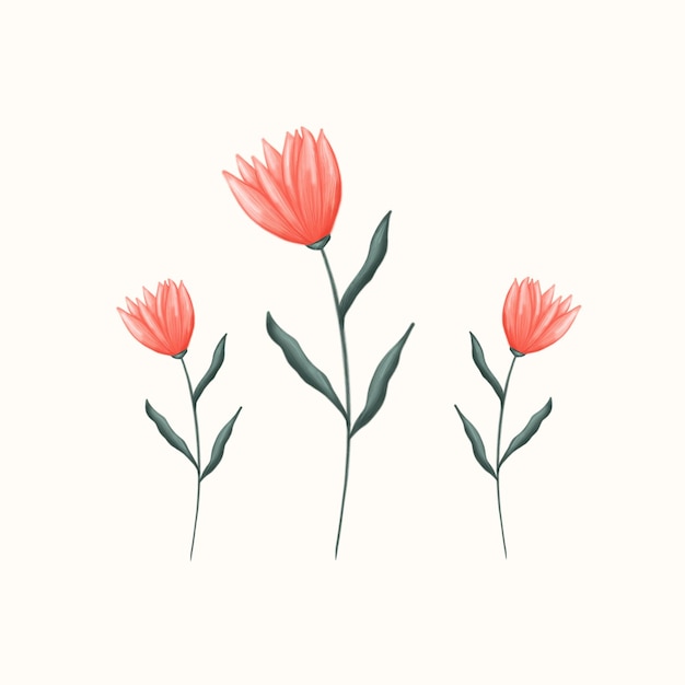Illustration de dessin à la main de belles fleurs de printemps avec texture au crayon