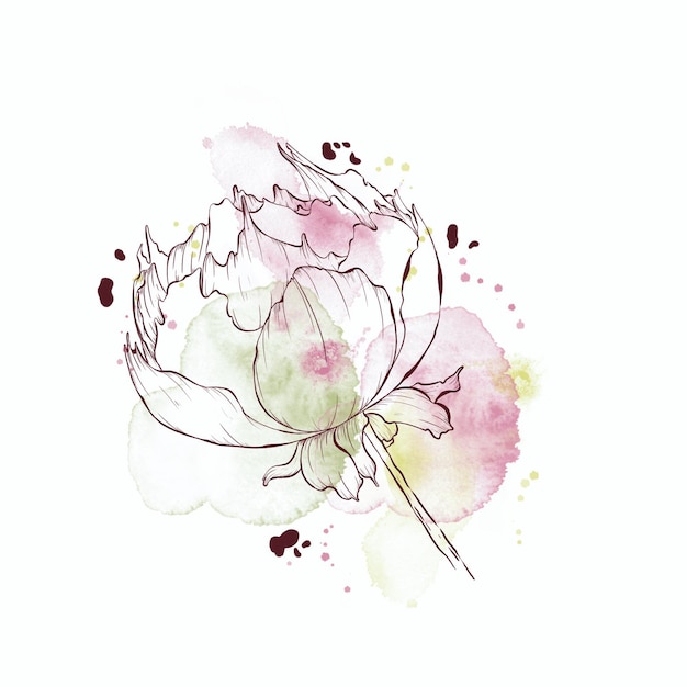 Illustration dessinée à la main avec une fleur d'encre élégante et une tache d'aquarelle sur fond blanc