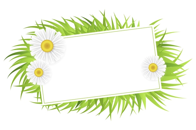 Illustration du cadre d'herbe isolée
