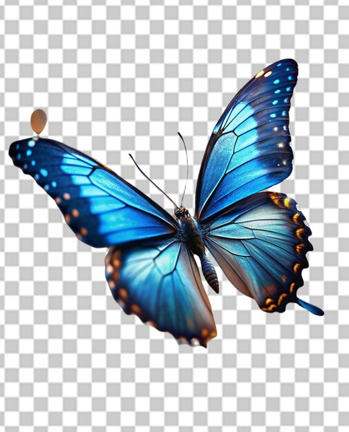 PSD l'illustration du papillon bleu vibrant