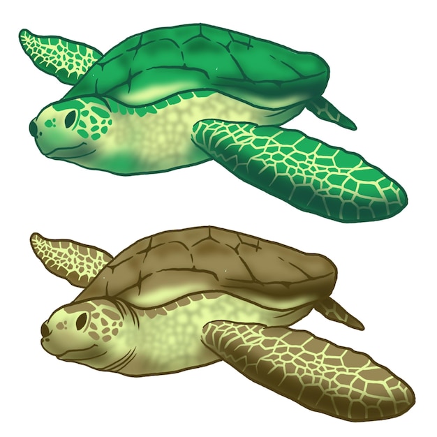 PSD illustration einer grünen sitzschildkröte