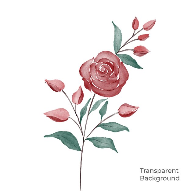 Illustration eines transparenten hintergrunds mit blumenaquarell, erstellt mit procreate