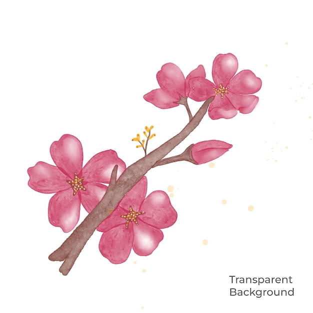 PSD illustration eines transparenten hintergrunds mit blumenaquarell, erstellt mit procreate